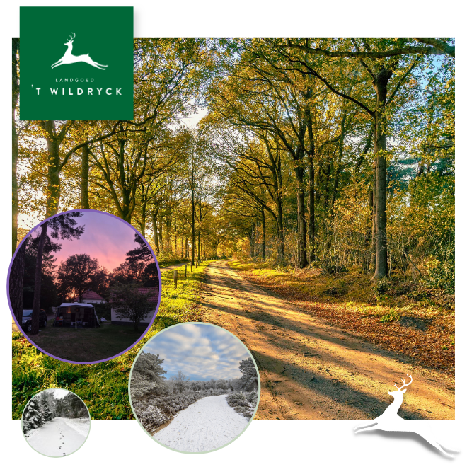 Landgoed 't Wildryck